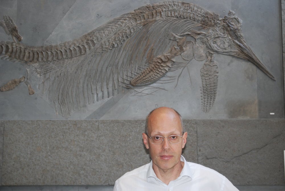 Fossilien_Expertise Fossilien_Expertise